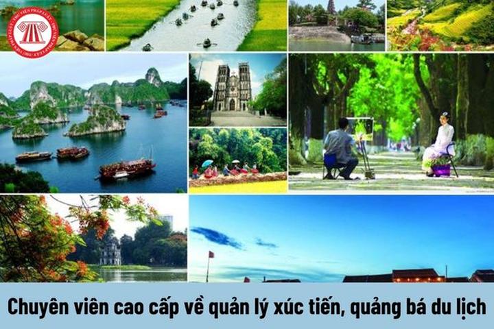 Từ Cuộc hội ngộ diệu kỳ của hàng đến chiến lược content: Hotspot Matrix chia sẻ