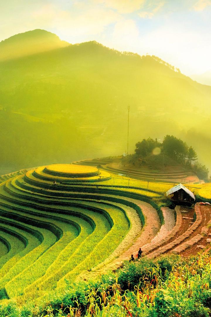 Cô giáo mầm non và hành trình 