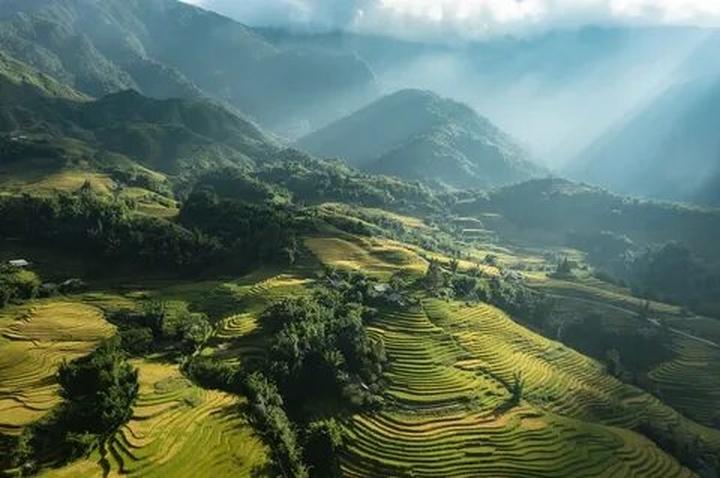 Video ngắn: Cánh đồng lời kể, nông sản sạch